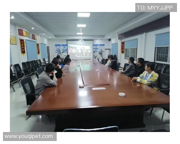 深圳排球队选拔赛特别报道：从默默无闻到耀眼夺冠的奋斗之路