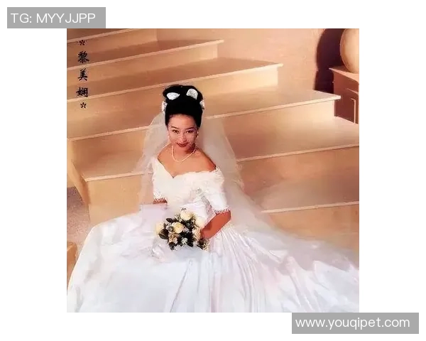 深度对话：赵敏的羽毛球人生