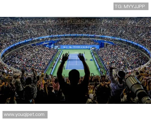 武汉网球队的节奏与表现分析：胜负背后的深层原因探讨