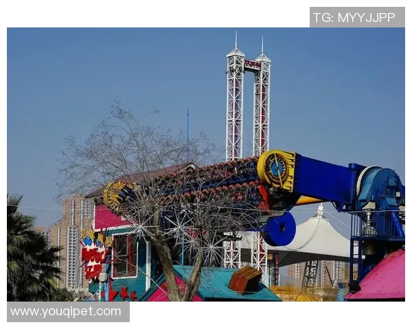 武汉乒乓球队的节奏与风采探秘：从训练到比赛的全景展现