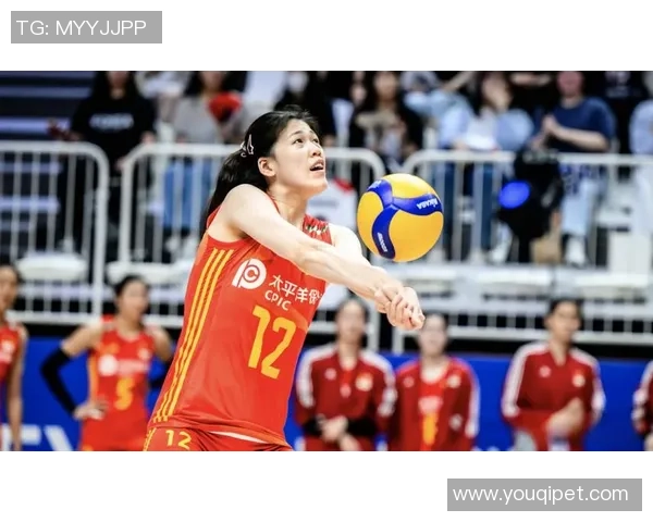 武汉排球队以56分领跑精英赛积分榜展现强大实力和竞争优势