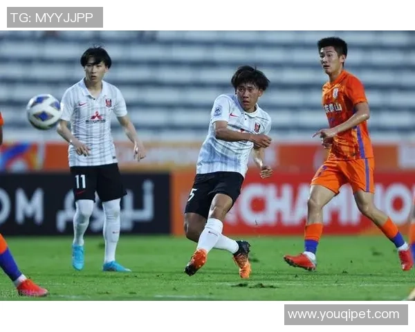 武汉足球队区域防守策略分析与比赛表现的得失探讨