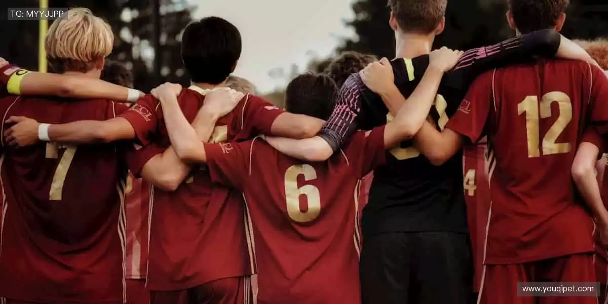 ✨ 一键订阅，精彩不断！最新赛事资讯，第一时间送达！