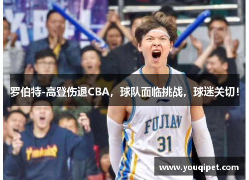 罗伯特-高登伤退CBA，球队面临挑战，球迷关切！